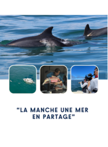 La Manche, une mer en partage