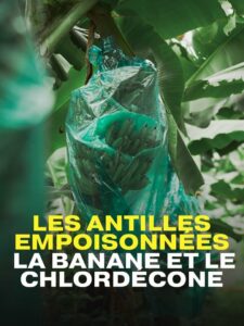 Les Antilles empoisonnées, la banane et le chlordécone